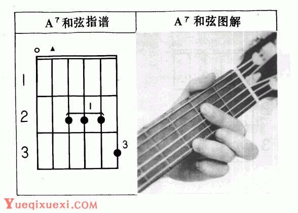 吉他左手技巧_吉他和弦指法标记图文教学